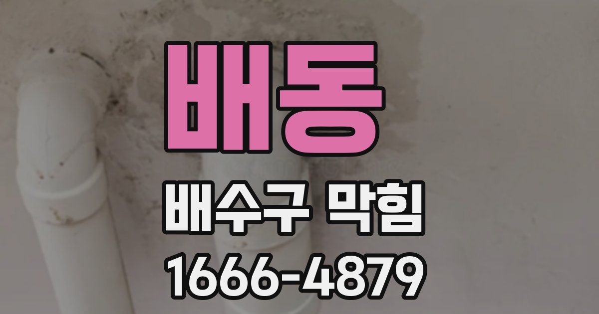 배동 배수구 막힘