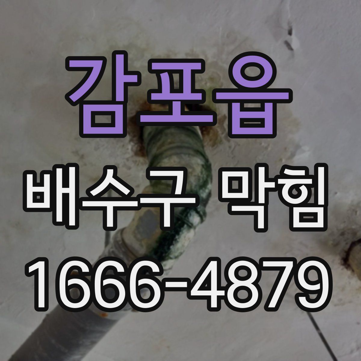 감포읍 배수구 막힘