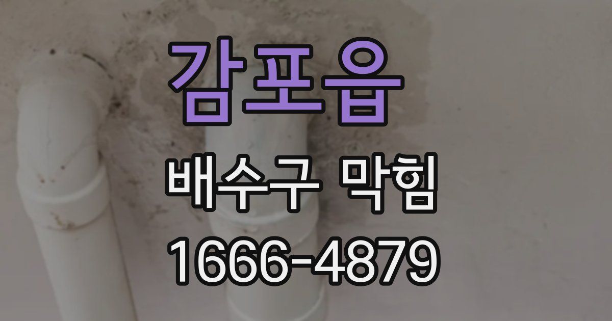 감포읍 배수구 막힘
