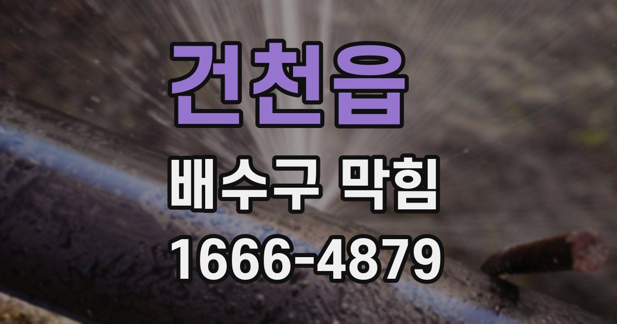 건천읍 배수구 막힘