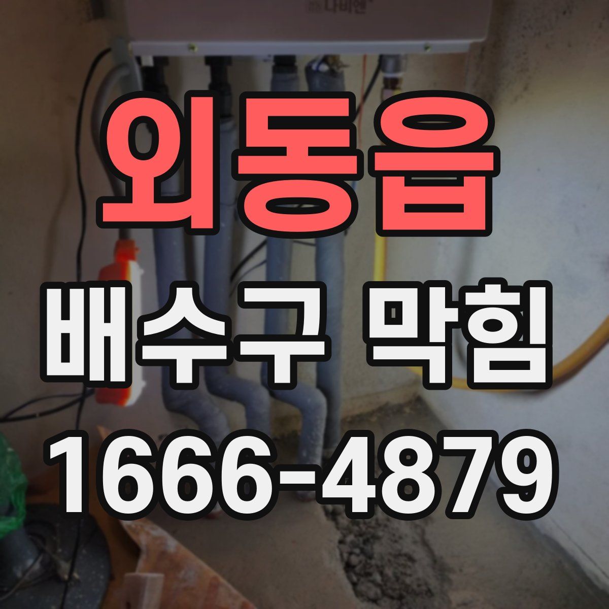 외동읍 배수구 막힘