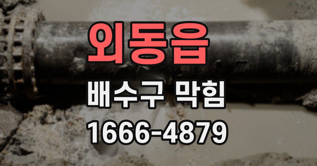 외동읍 배수구 막힘
