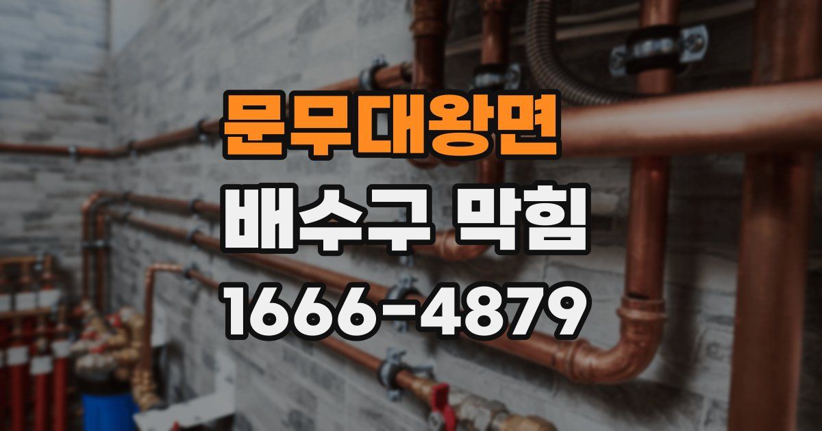 문무대왕면 배수구 막힘