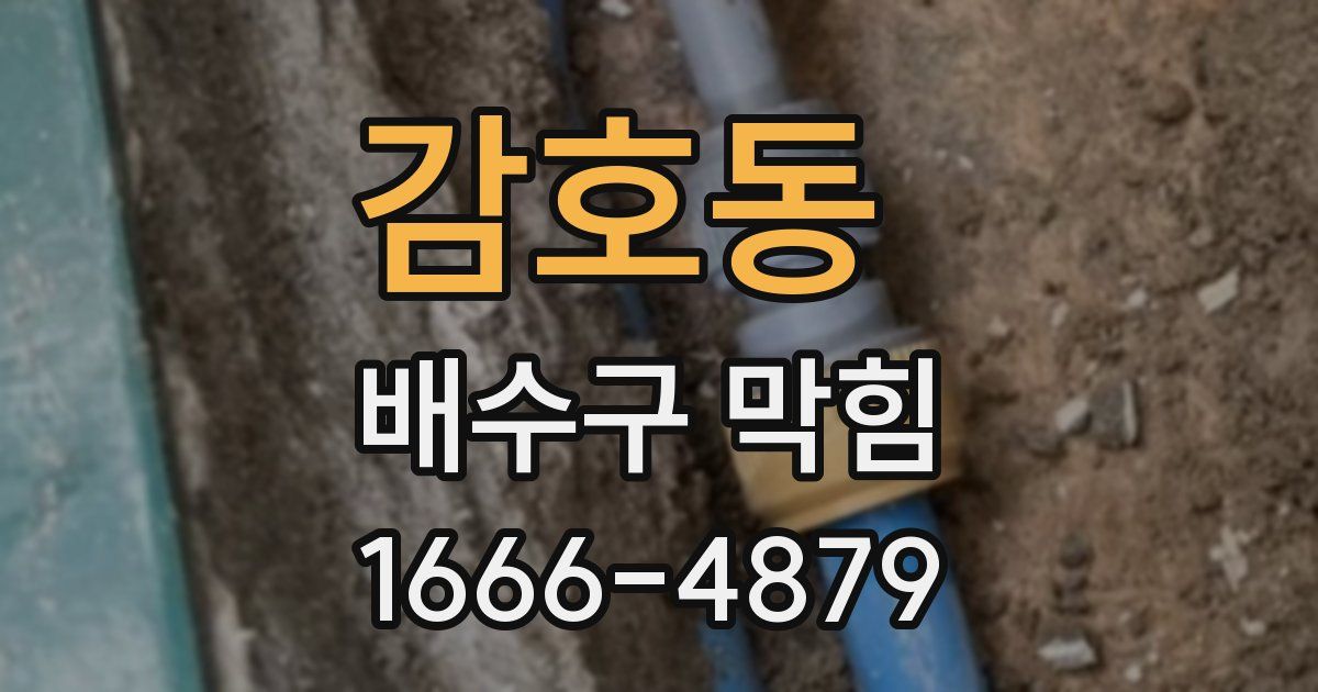 감호동 배수구 막힘