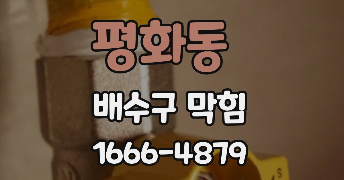 평화동 배수구 막힘
