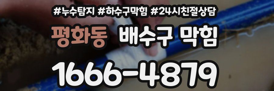 평화동 배수구 막힘