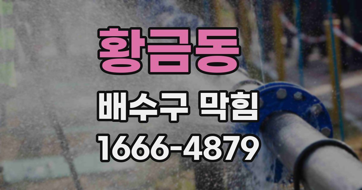 황금동 배수구 막힘