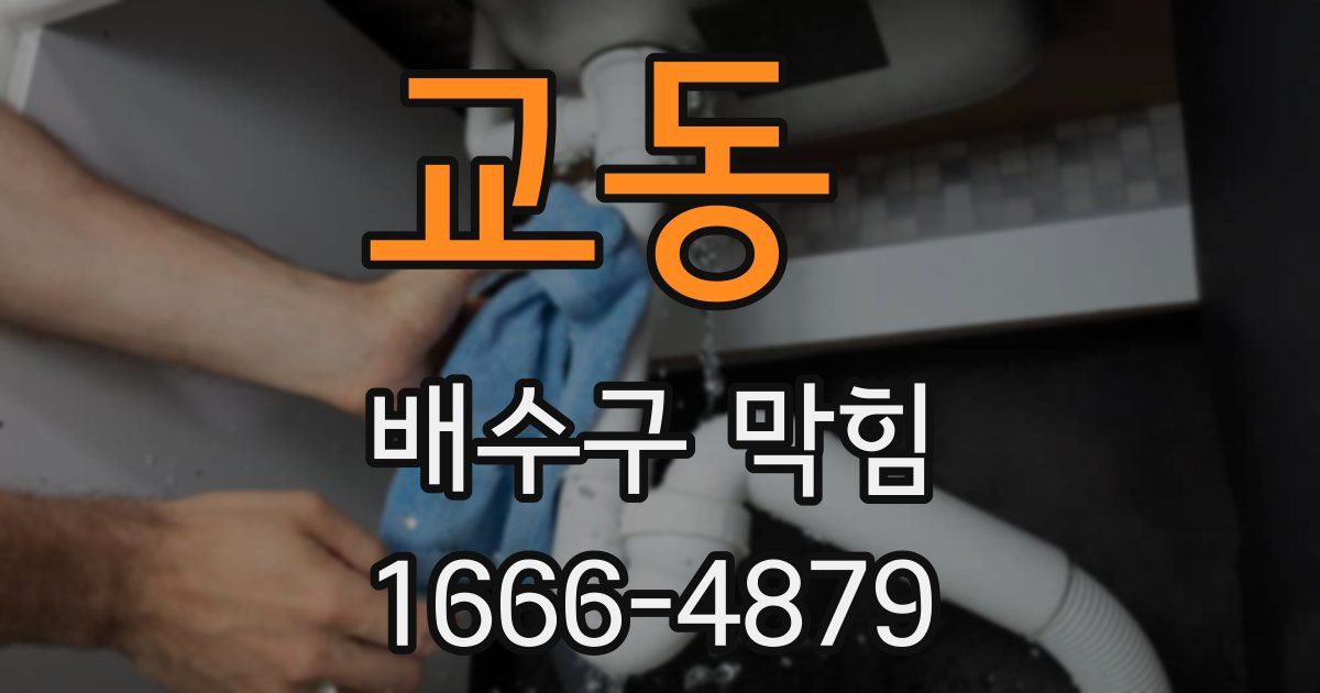 교동 배수구 막힘