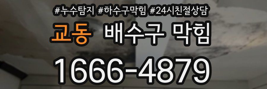 교동 배수구 막힘