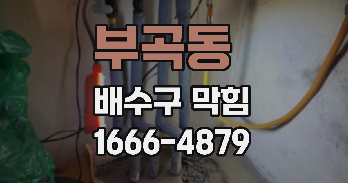 부곡동 배수구 막힘