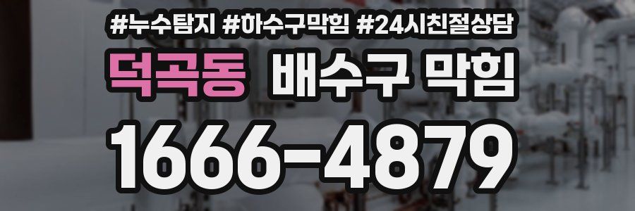 덕곡동 배수구 막힘