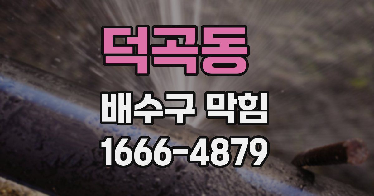 덕곡동 배수구 막힘