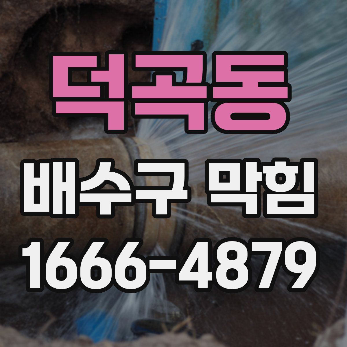 덕곡동 배수구 막힘