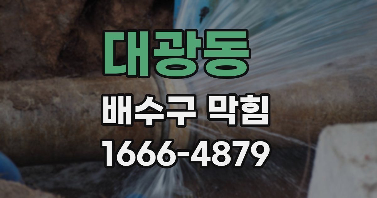 대광동 배수구 막힘