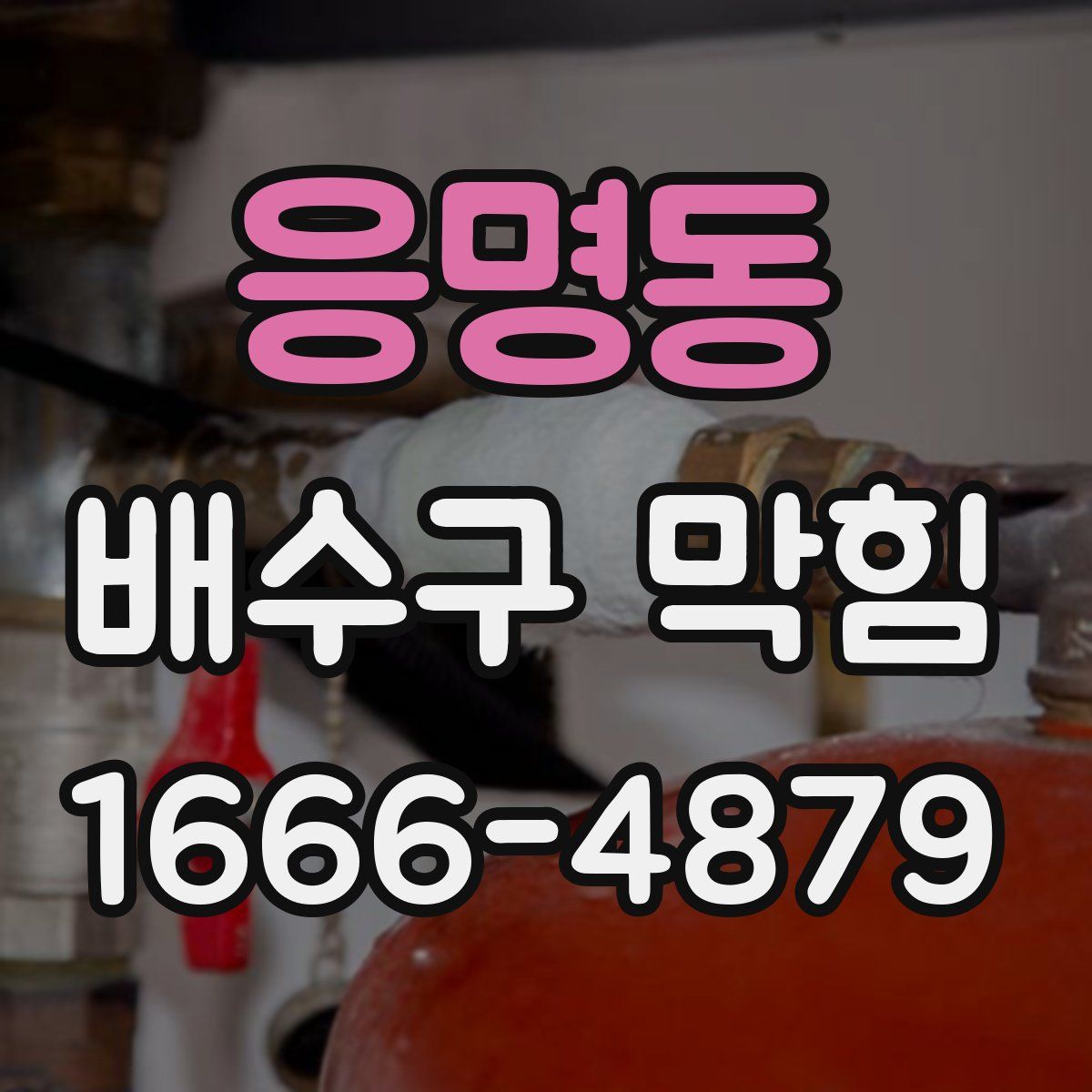 응명동 배수구 막힘