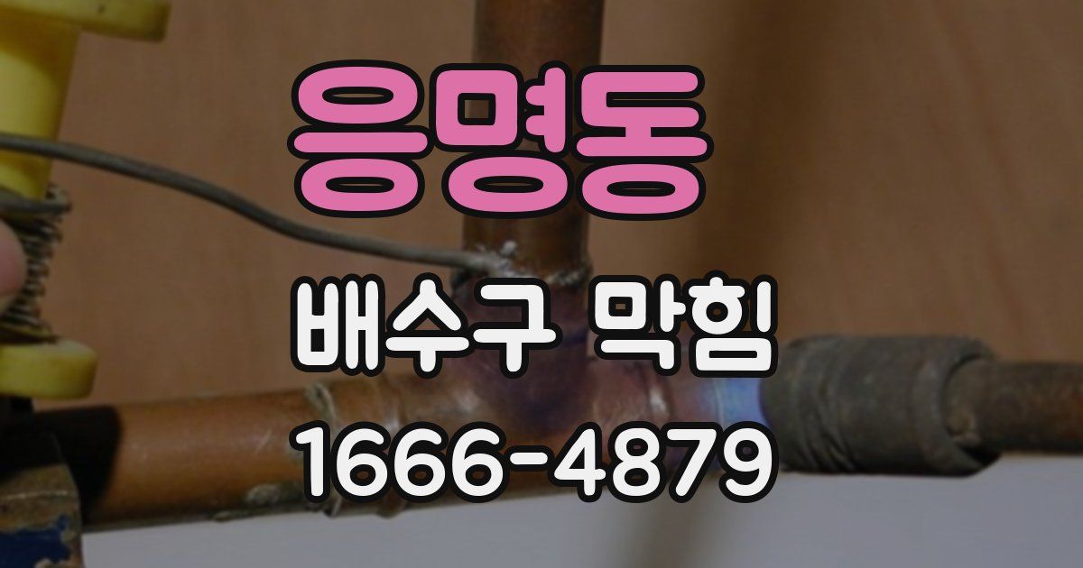 응명동 배수구 막힘