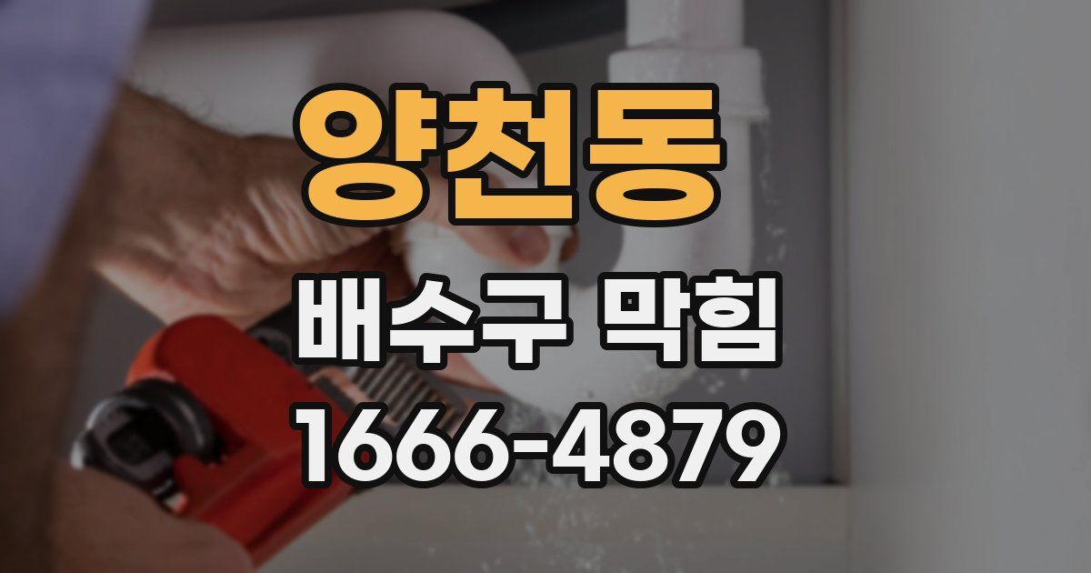 양천동 배수구 막힘