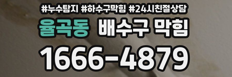 율곡동 배수구 막힘