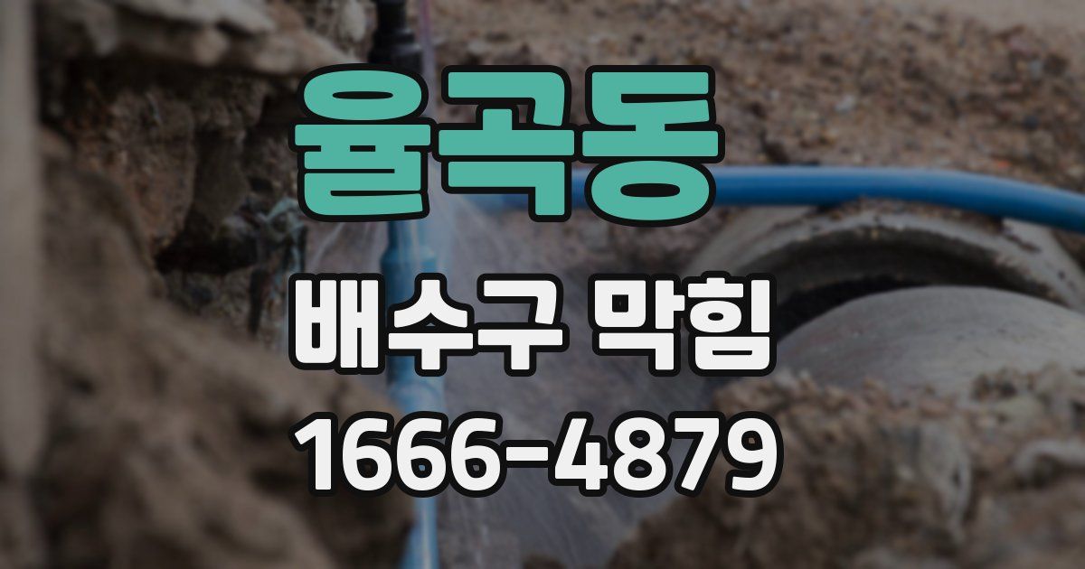 율곡동 배수구 막힘