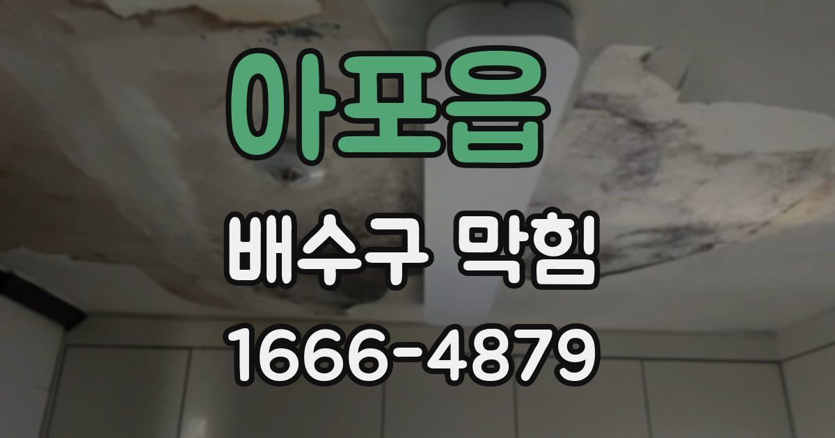 아포읍 배수구 막힘