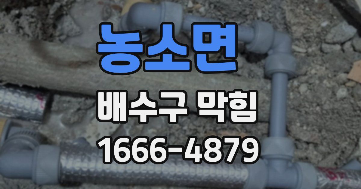 농소면 배수구 막힘
