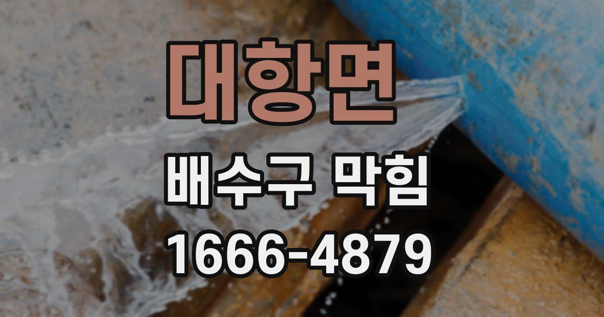 대항면 배수구 막힘
