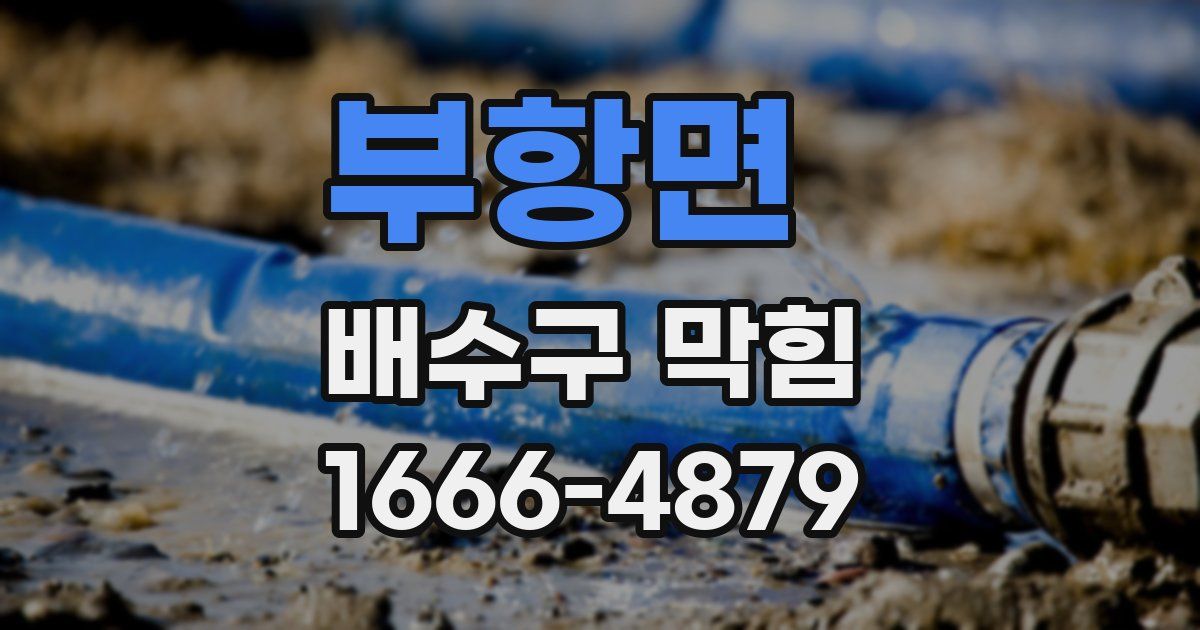 부항면 배수구 막힘