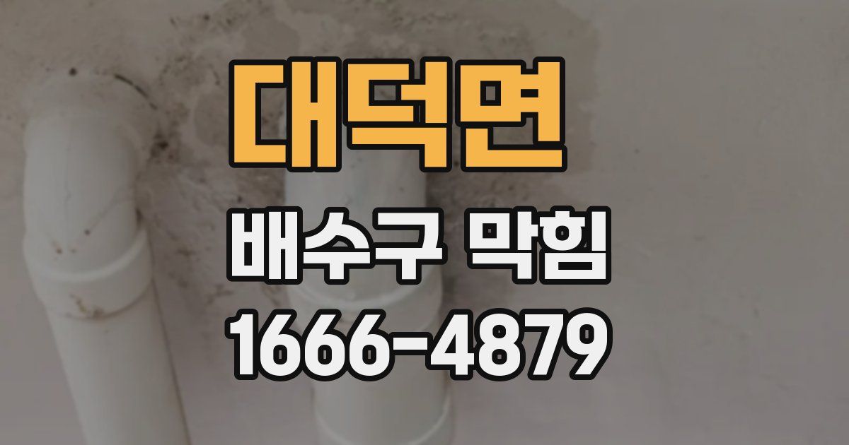 대덕면 배수구 막힘