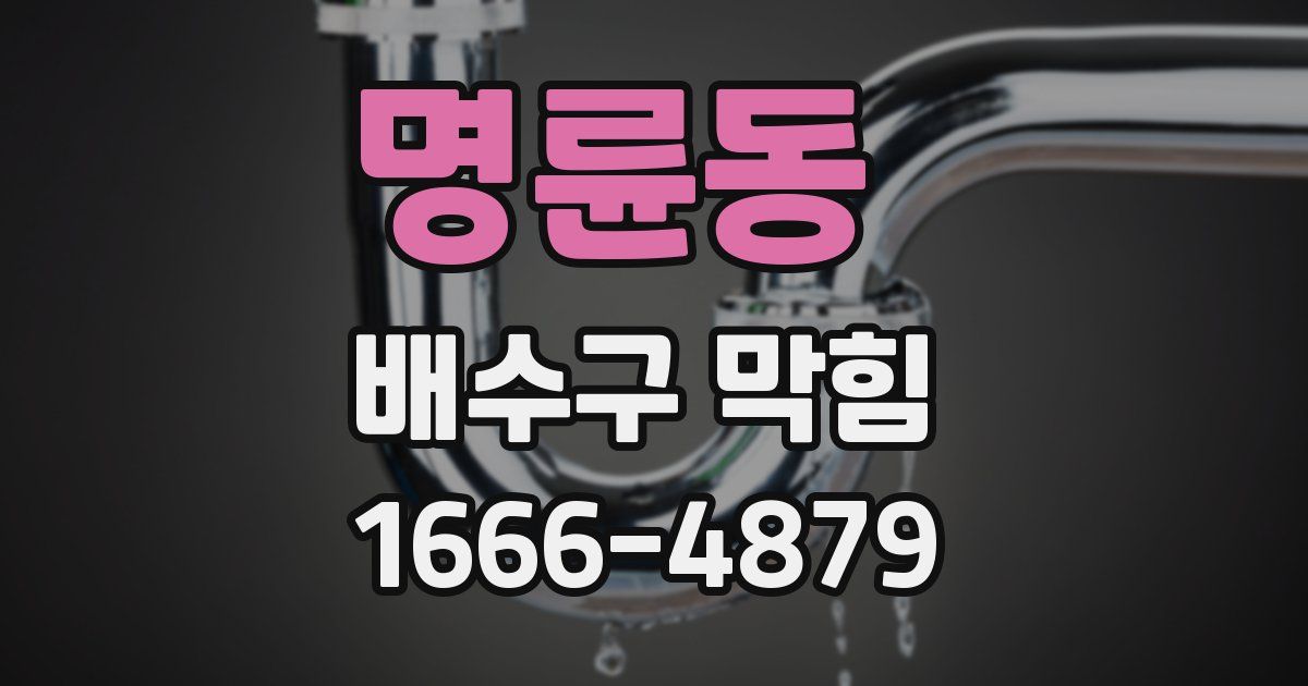 명륜동 배수구 막힘