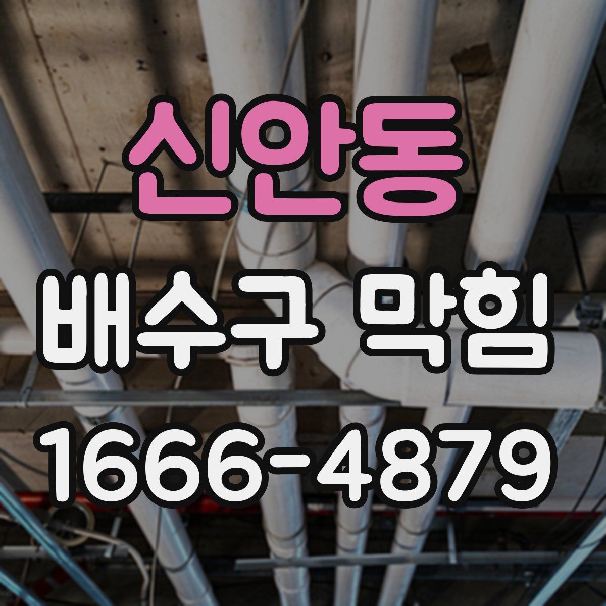 신안동 배수구 막힘