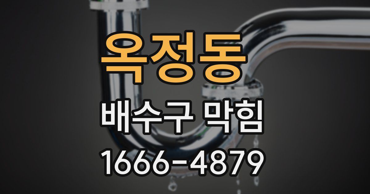옥정동 배수구 막힘