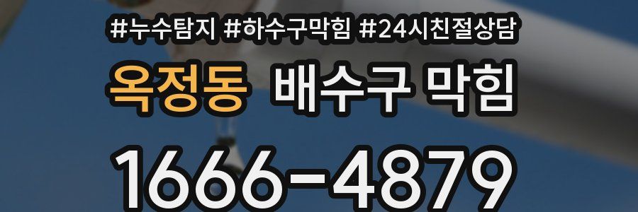 옥정동 배수구 막힘