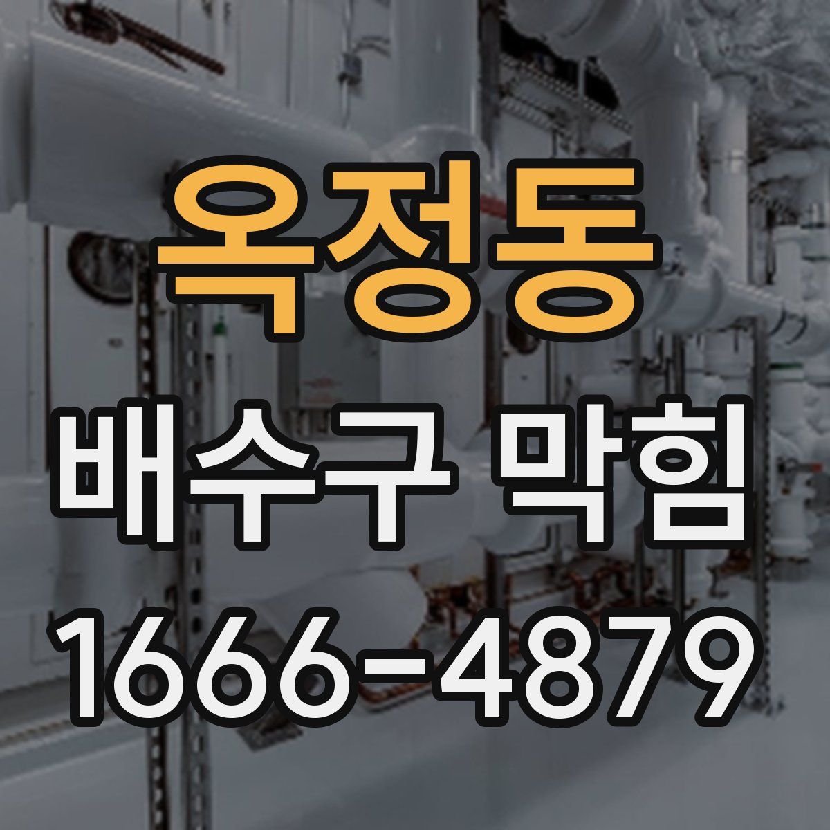 옥정동 배수구 막힘
