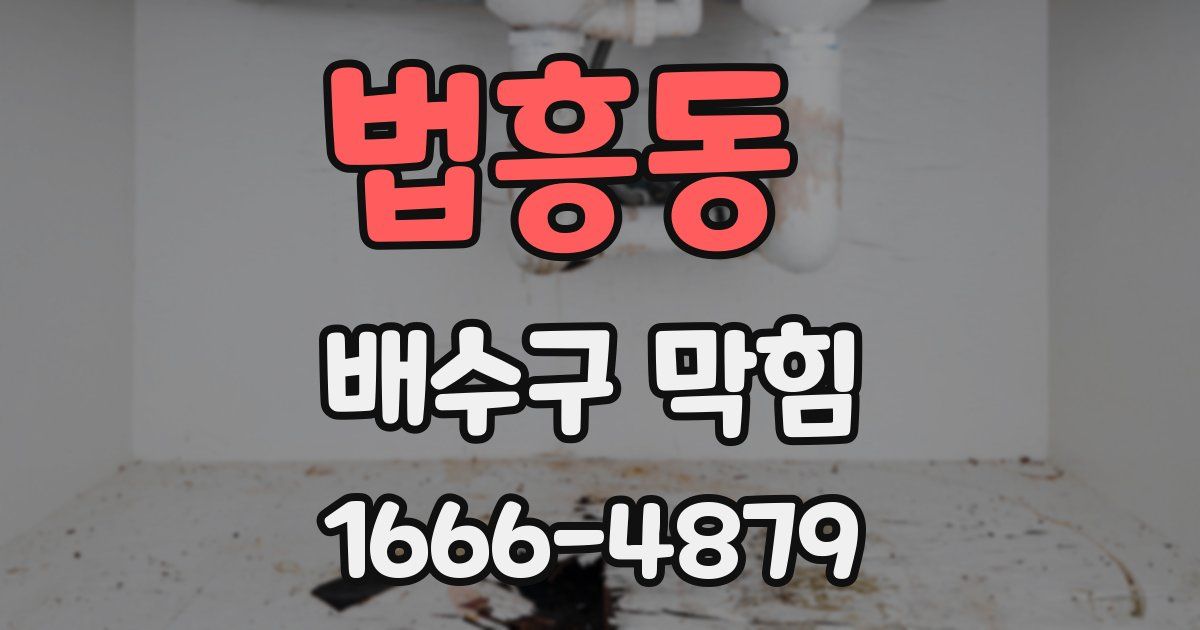 법흥동 배수구 막힘
