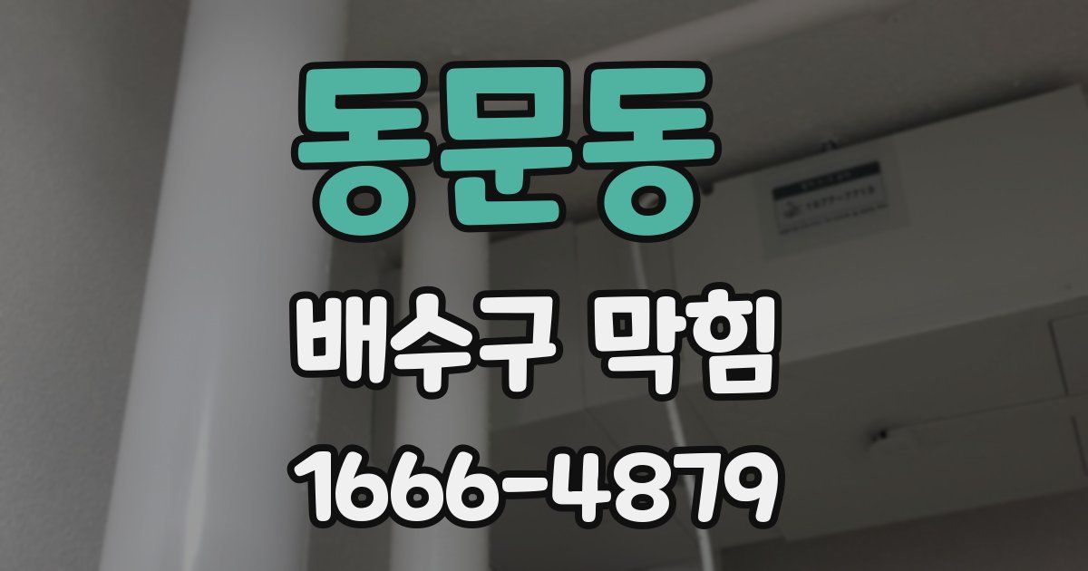 동문동 배수구 막힘