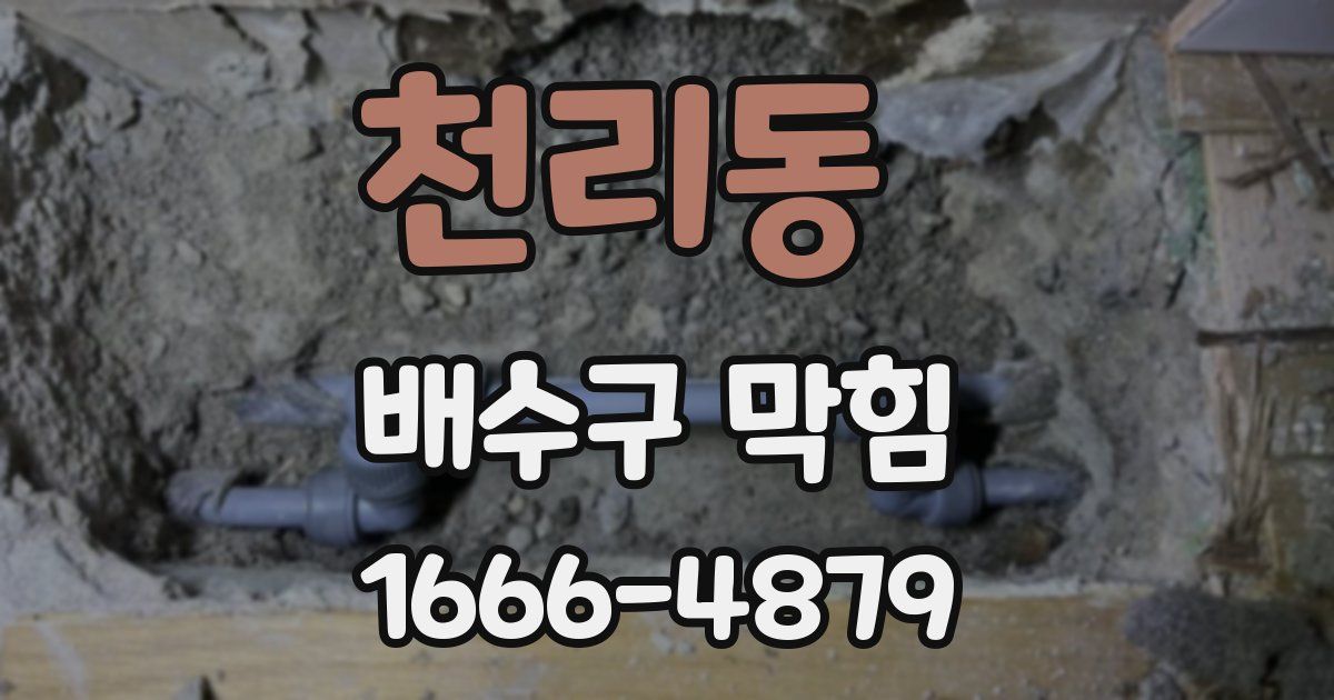 천리동 배수구 막힘