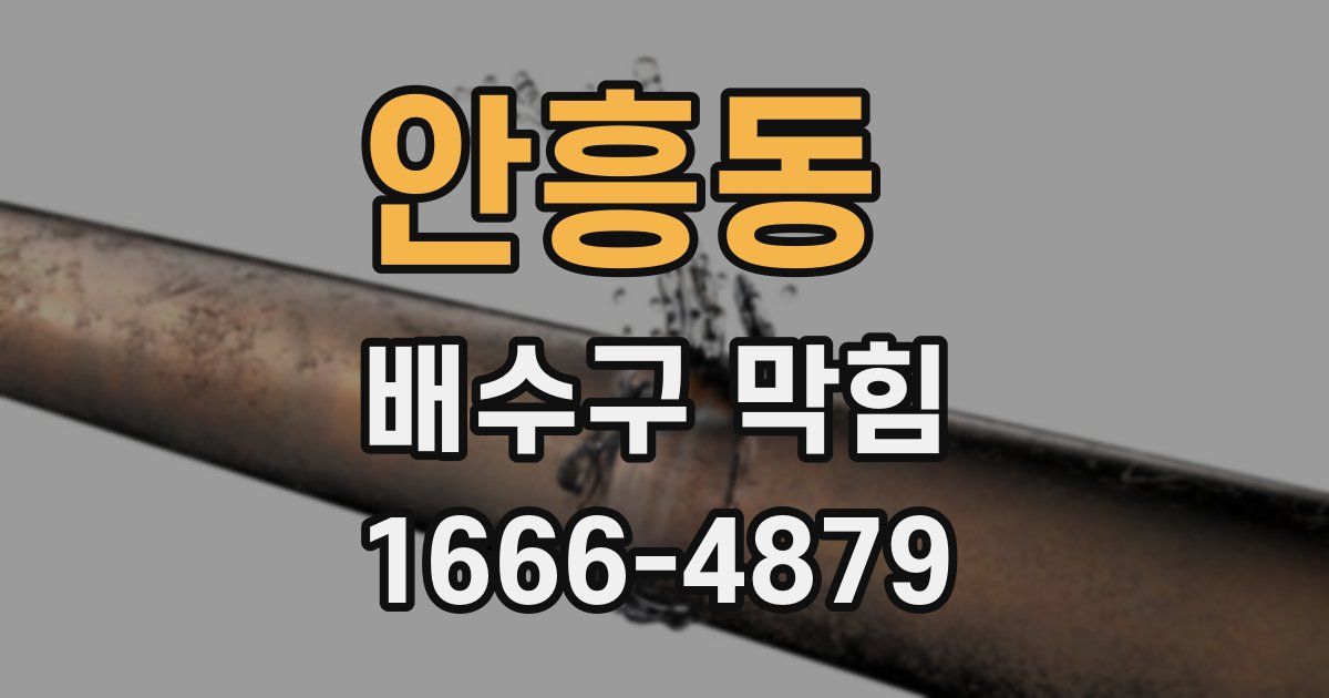 안흥동 배수구 막힘