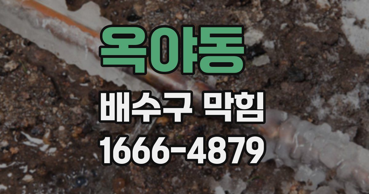 옥야동 배수구 막힘