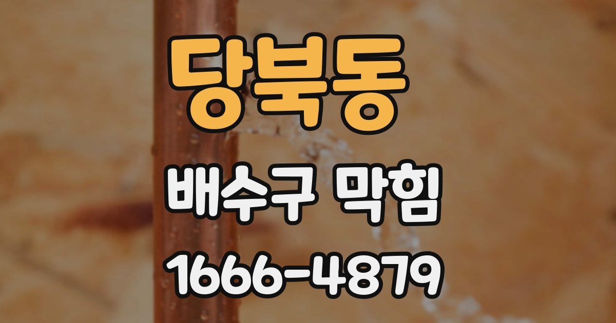 당북동 배수구 막힘