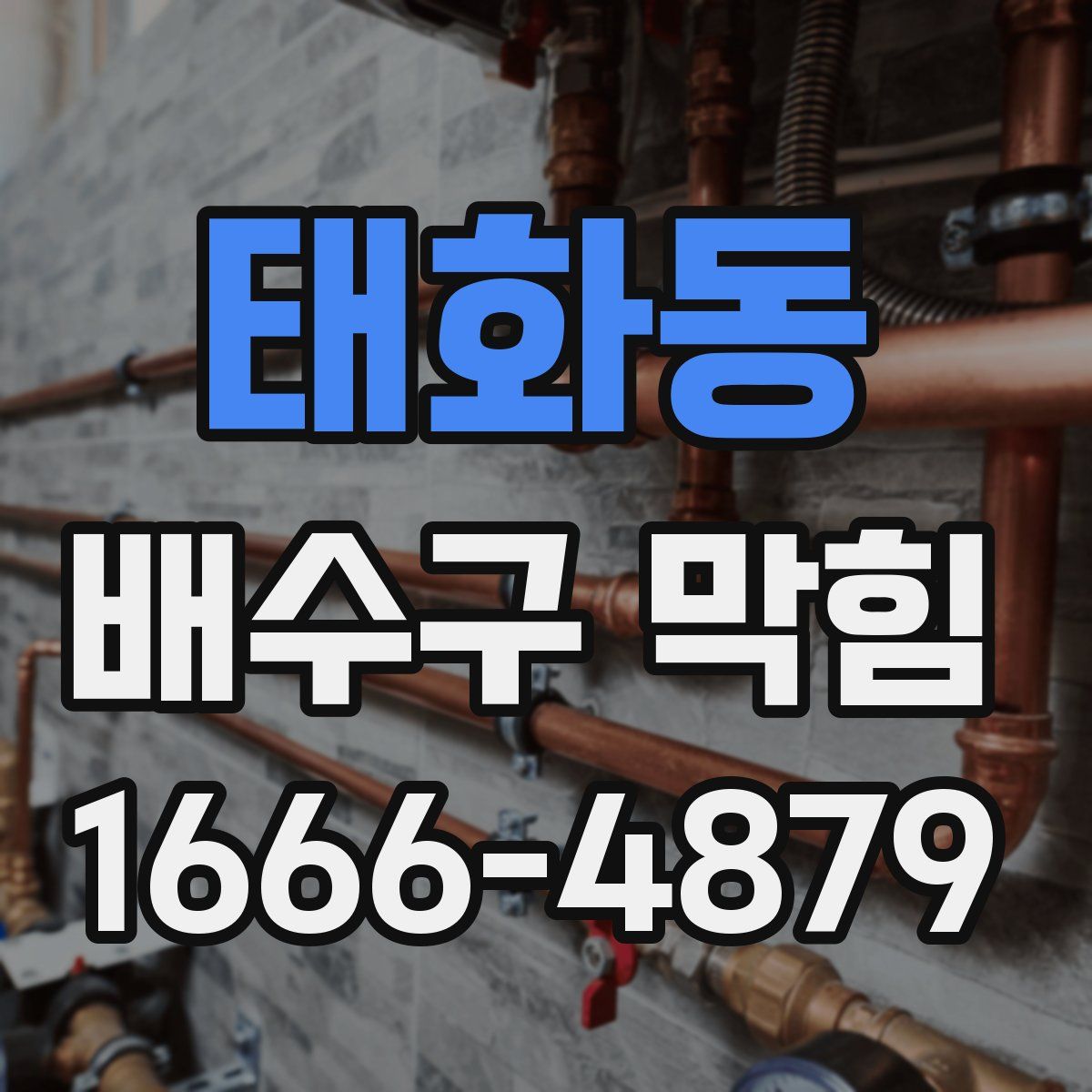 태화동 배수구 막힘