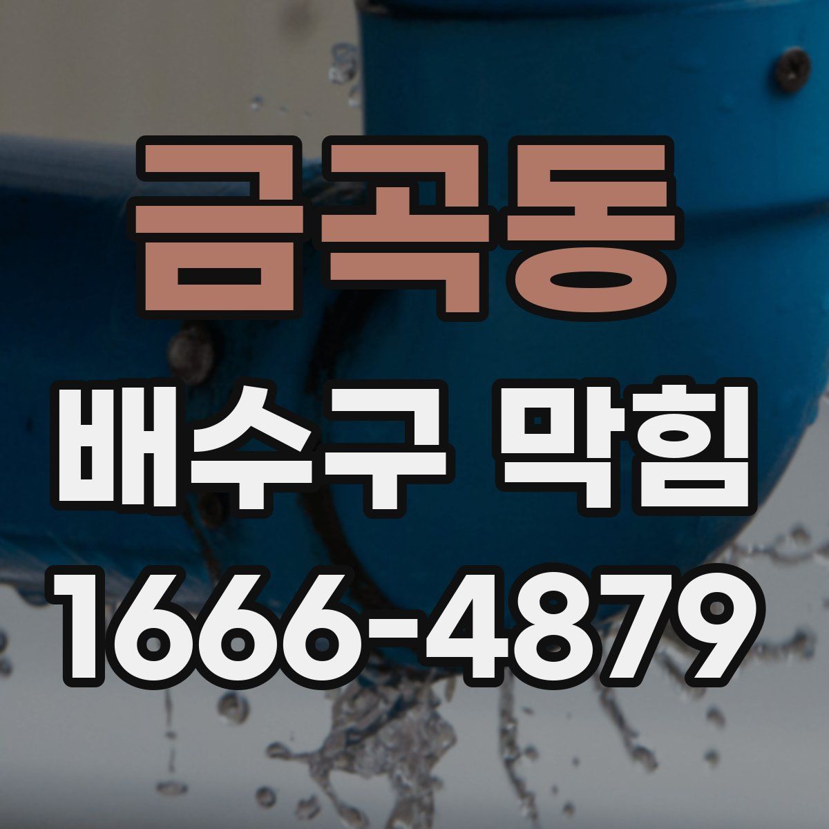 금곡동 배수구 막힘