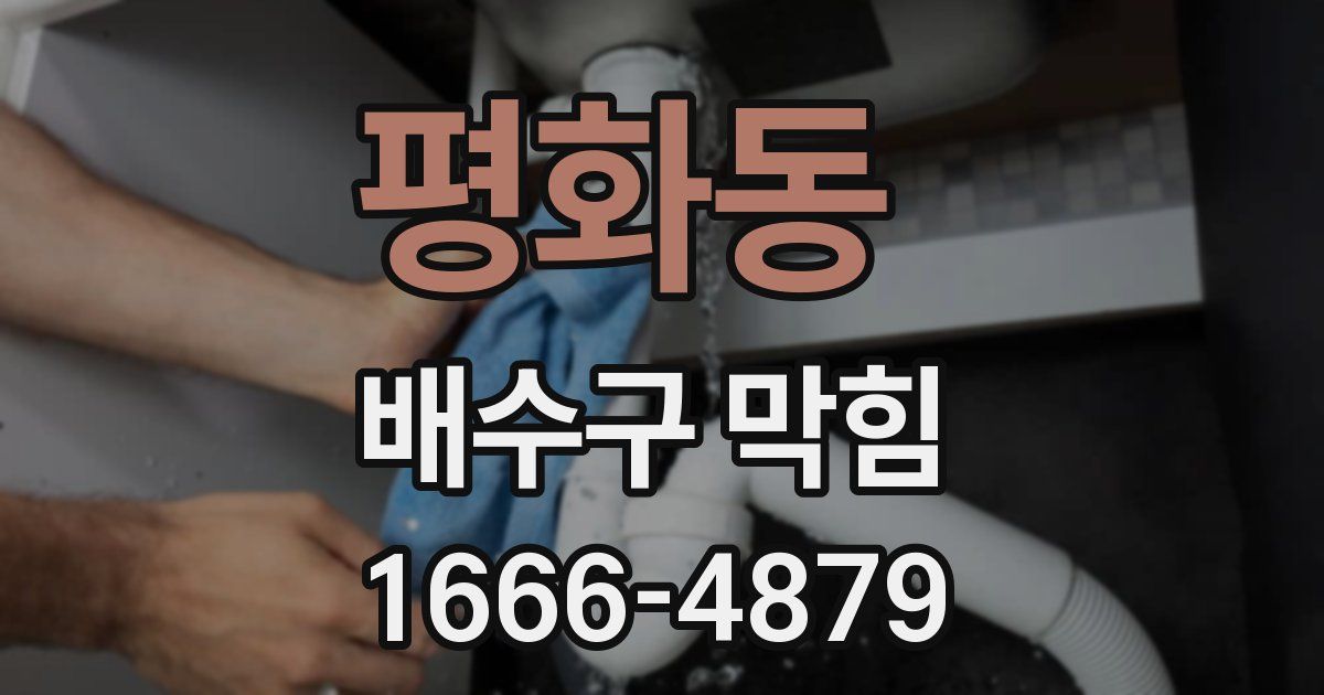 평화동 배수구 막힘