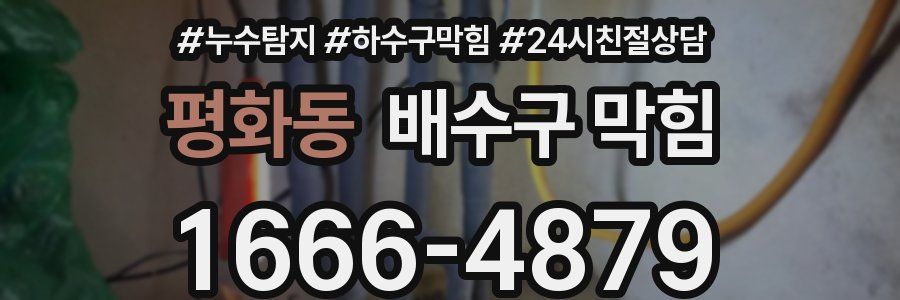 평화동 배수구 막힘