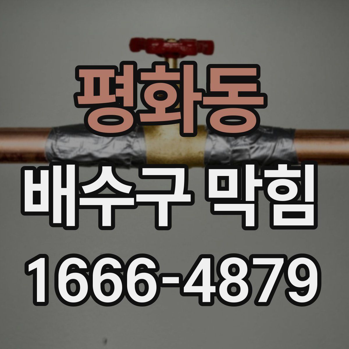 평화동 배수구 막힘