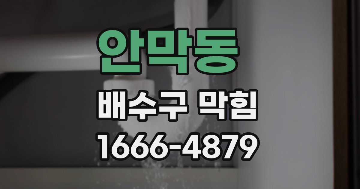 안막동 배수구 막힘