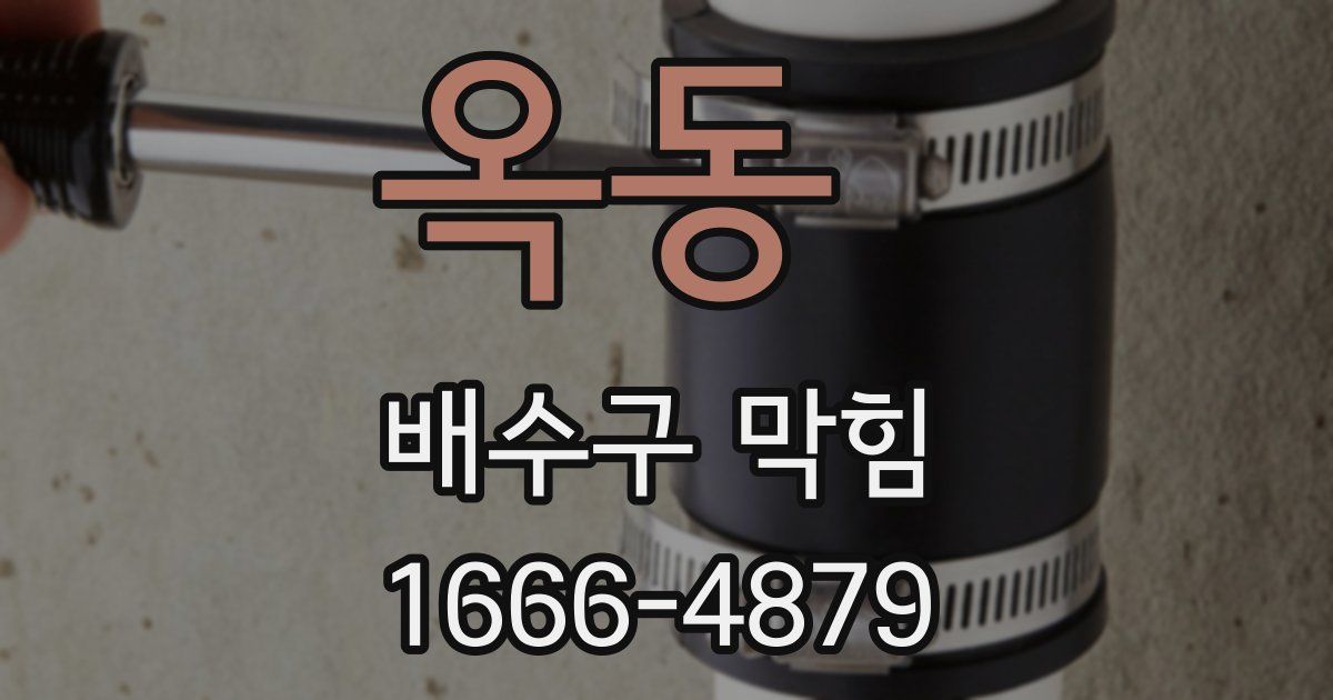 옥동 배수구 막힘