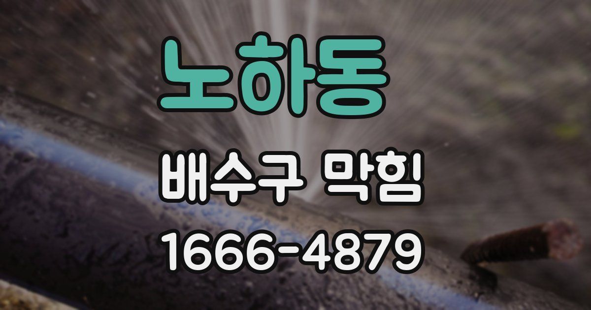 노하동 배수구 막힘