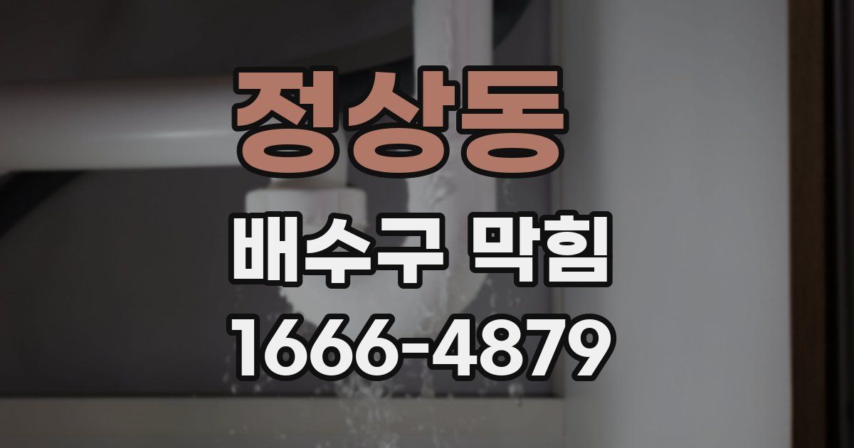 정상동 배수구 막힘