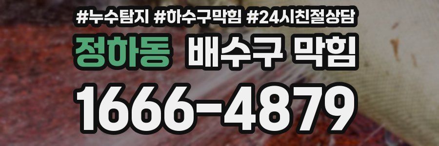 정하동 배수구 막힘