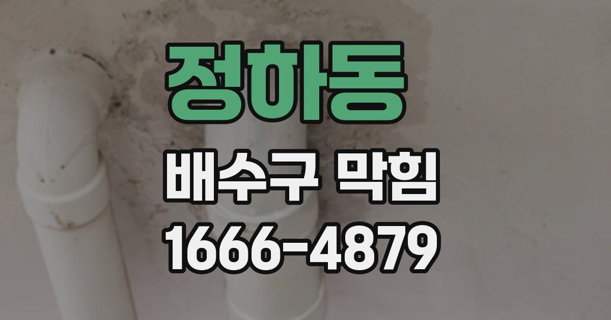 정하동 배수구 막힘